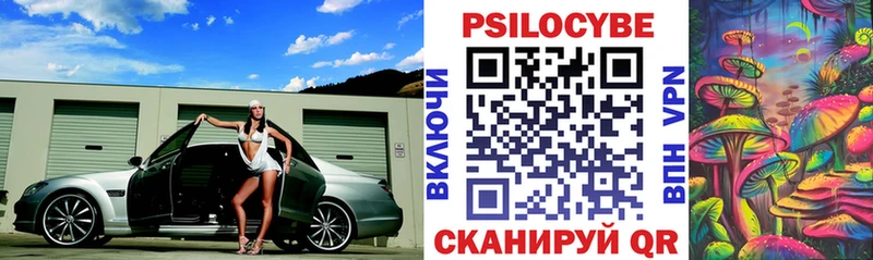 Псилоцибиновые грибы Psilocybe наркота Красный Холм