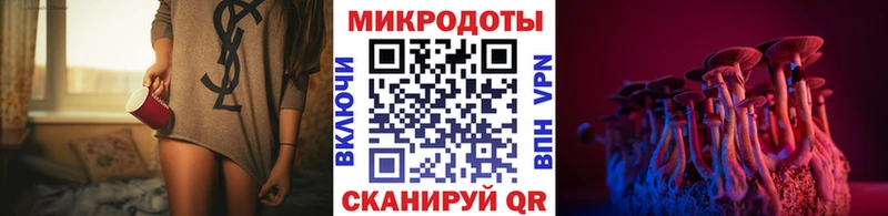 Галлюциногенные грибы мухоморы Красный Холм